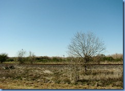 5839 Texas - US-77 South - bird of prey and railroad track alongside US-77