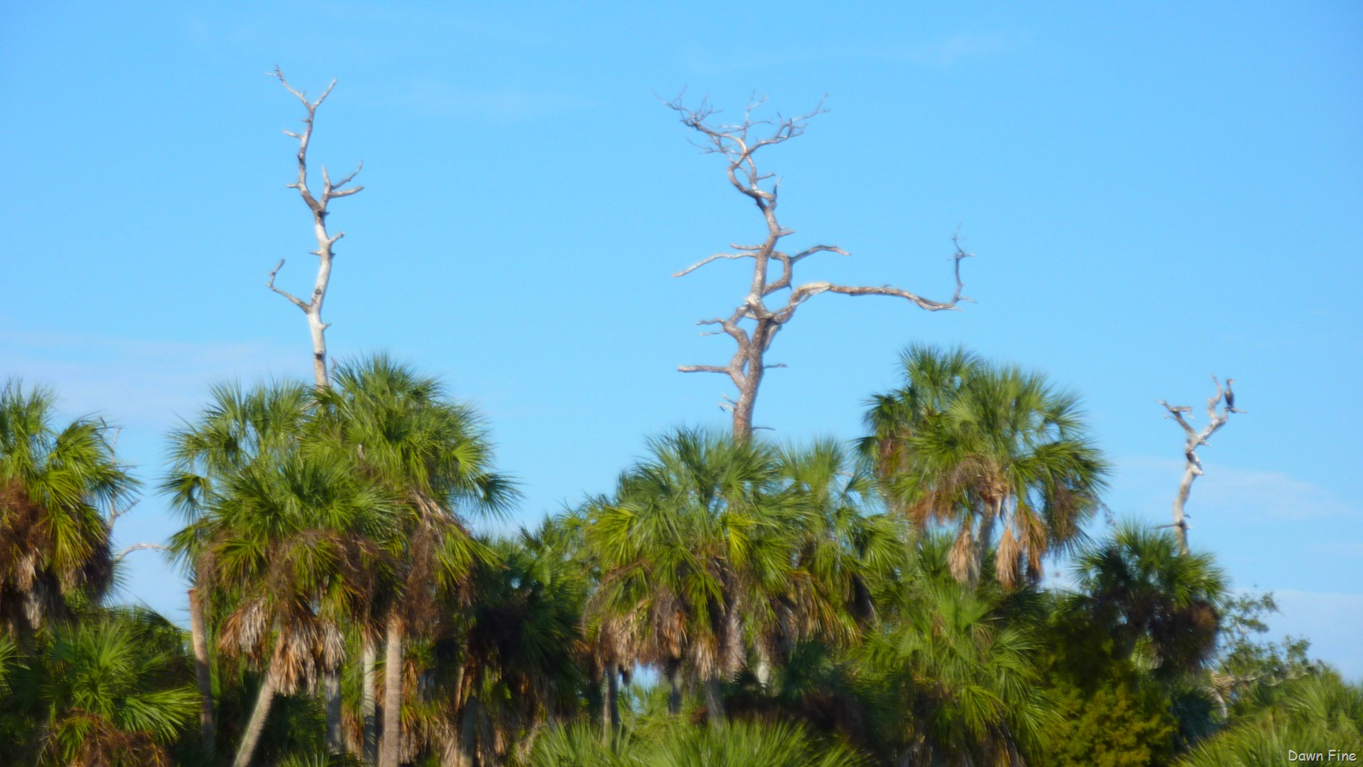 [Touring-Coast-_0315.jpg]