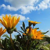 DSCF7143.jpg