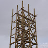 dsc05276.jpg