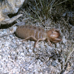 IMAG0321.jpg