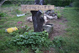 DSC04926.jpg