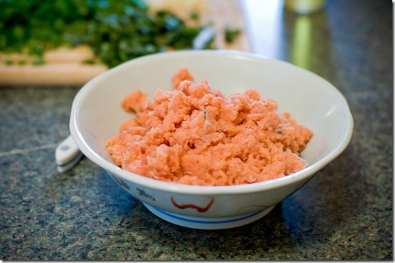 salmonbgr-12