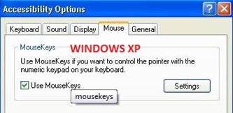 mouse xp