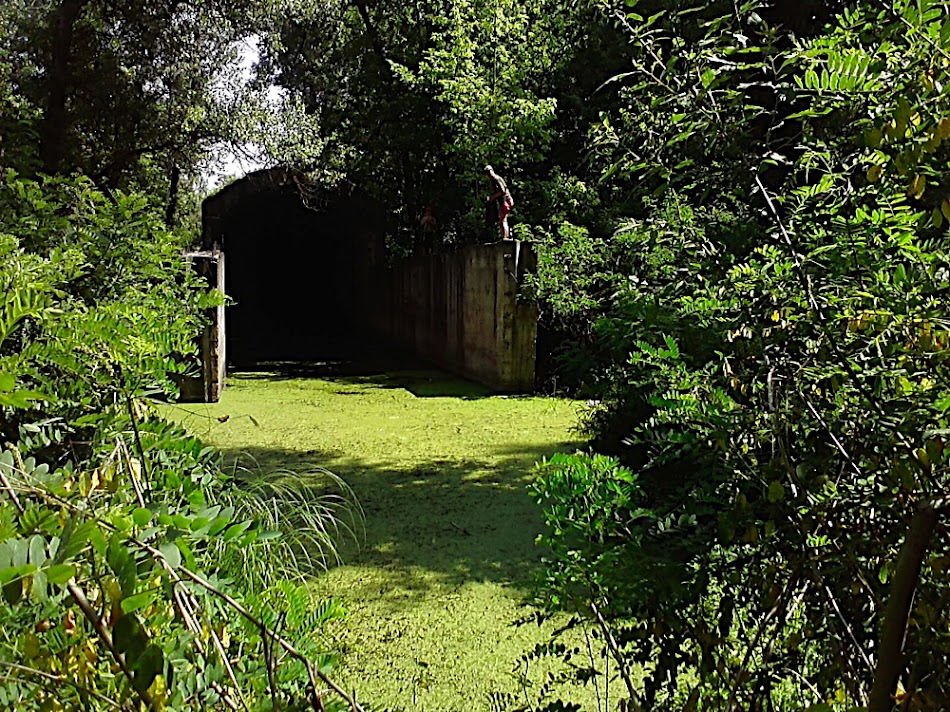 P160711_13.17.jpg