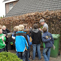 Groep 6 Project Lente in Drenthe
