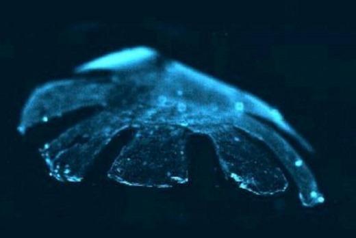 [clip_image008%255B3%255D.jpg]