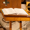 IMG_7856.jpg
