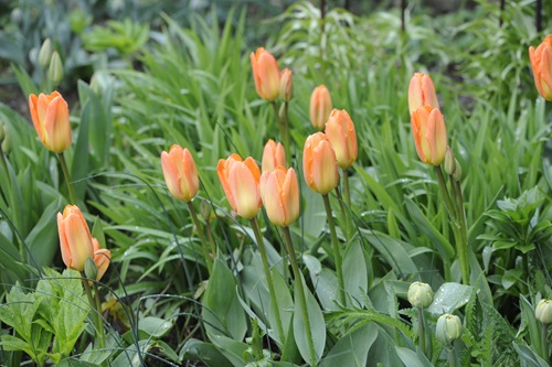 20120425_082453