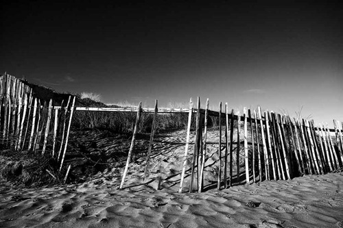 Sand-Dune-Fencing---Mono