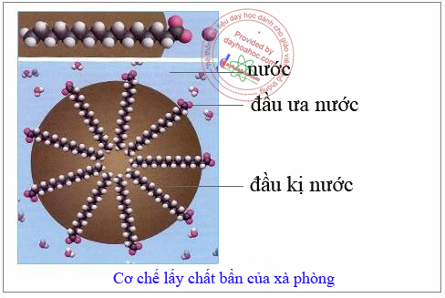 [xaphong1%255B4%255D.png]