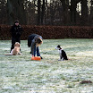 DSC09344.JPG