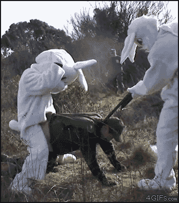 [81417509%255B4%255D.gif]
