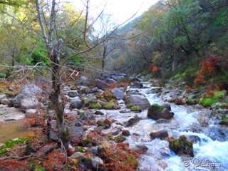 [SAM_1959%255B3%255D.jpg]