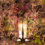 PRO!kunst_Aalten_Marion_Bauhuis_fotobeeld_02.jpg