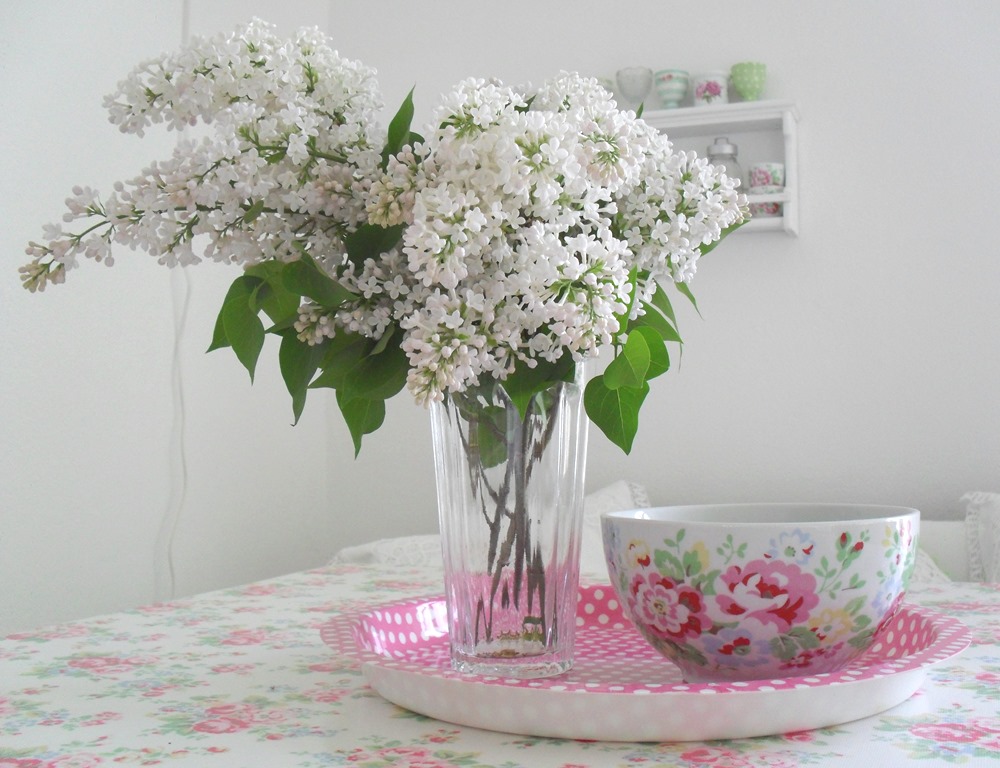 [SAM_8471%255B27%255D.jpg]