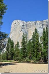 110913 Yosemite NP (4)