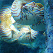 hokkaido_529.jpg