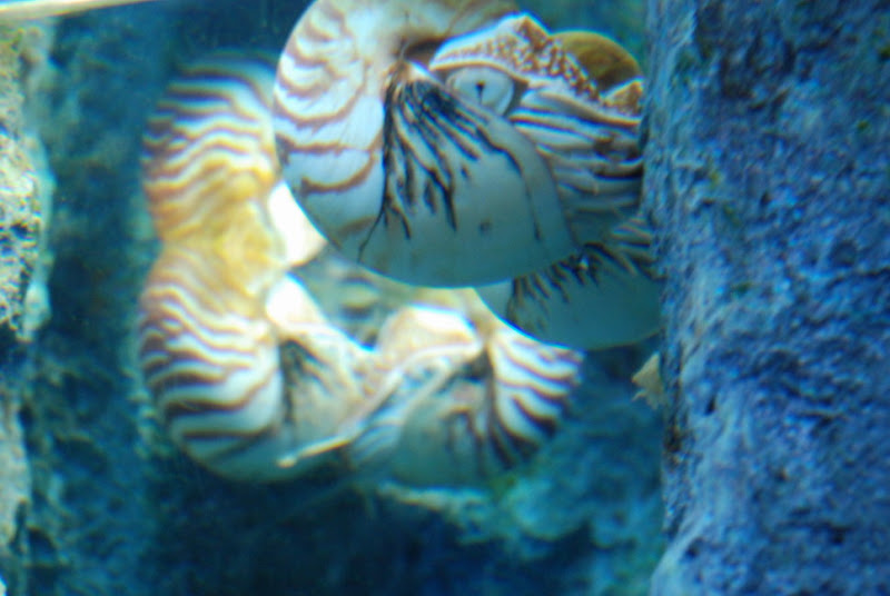 hokkaido_529.jpg