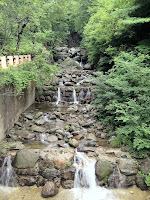 IMG_0774.jpg Photo