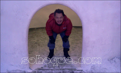 beruang kutub di snowworld 2013-01-23 11.39.01.jpg
