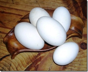 goose eggs