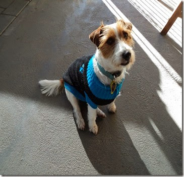 Lacy June 2014 (1) Lacy June 2014 (1)