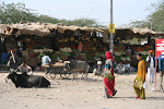 Jodhpur, India 057.JPG