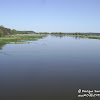 rz. Odra dsc06351.jpg