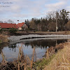 opaska na rzece Wełnie :) dsc05559.jpg