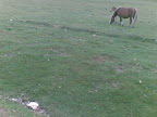 – 07-jun-2009 – 07-jun-2009