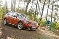 2013-BMW-X1-52 2013-BMW-X1-52