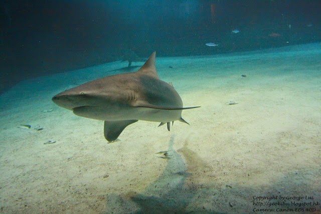 IMG_3051 IMG_3051