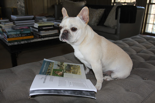 Francesca, come and read this book with me!