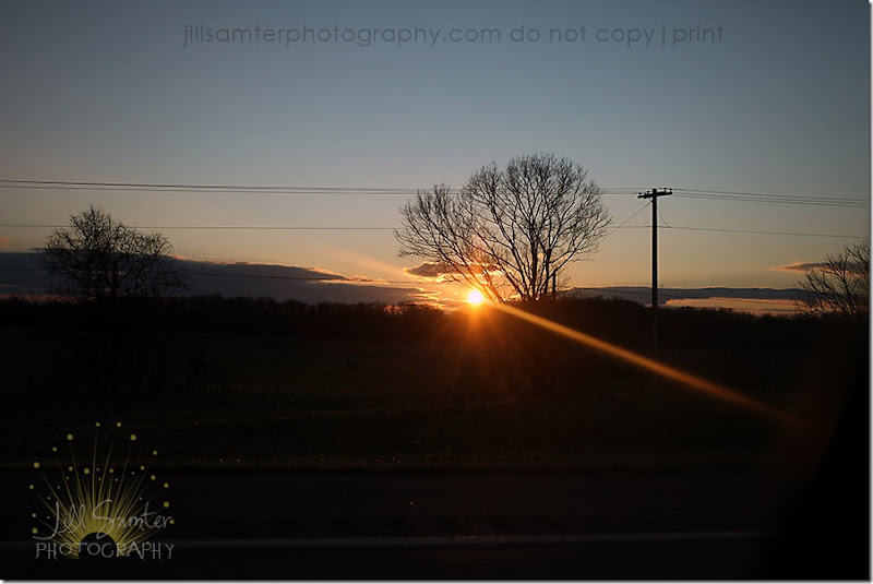 IMG_3042 IMG_3042