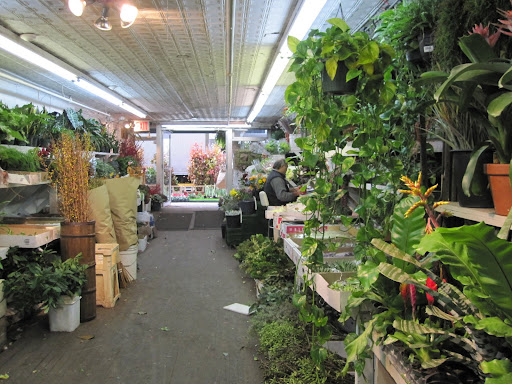 A view from the back of the store.