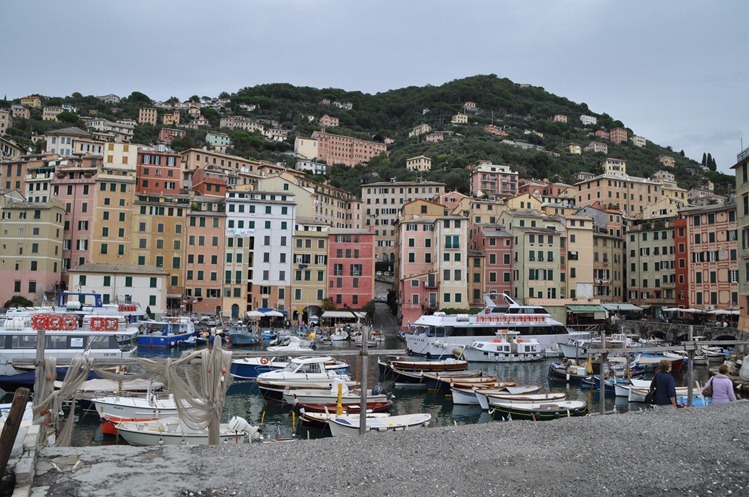 DSC_0721 DSC_0721