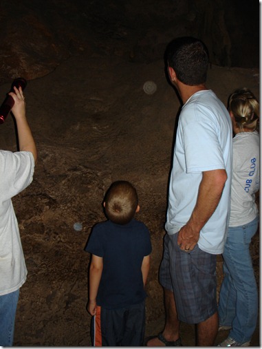 DIG102007 486