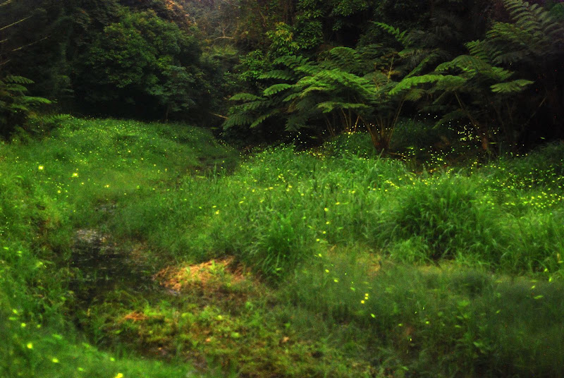 [image%255B2%255D.png]