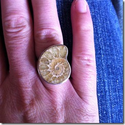 fossilring fossilring