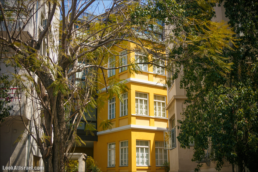 Крошки Тель Авива 6