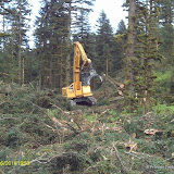 IMAG0092.JPG