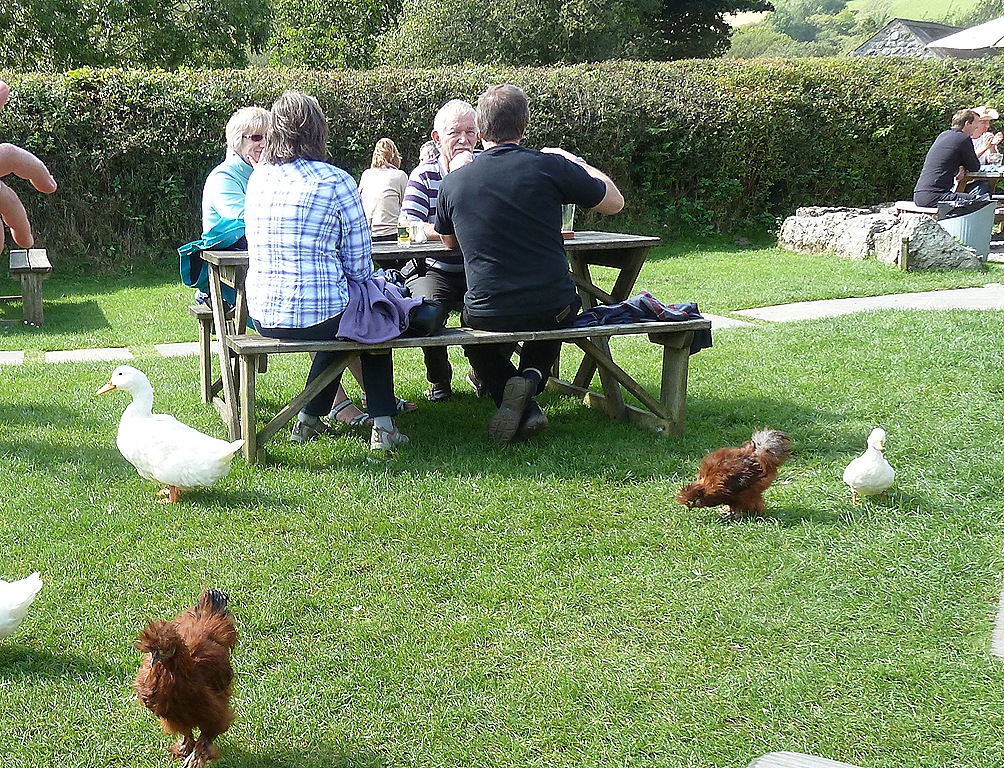 [dartmoor-0235.jpg]