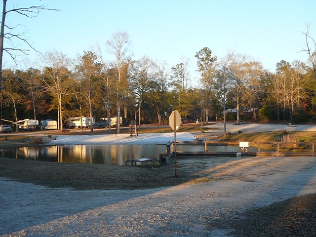 [FL%2520Springs1%255B7%255D.jpg]