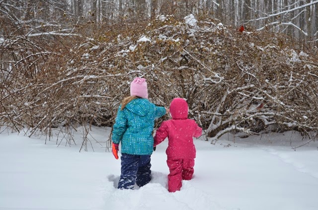 [DSC_0449%255B2%255D.jpg]