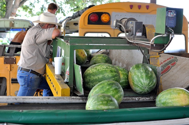 [watermelons%252011%25200705%2520%252874%2529%255B4%255D.jpg]