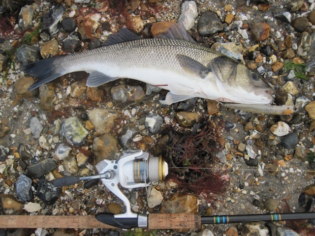 [IMG_0664%255B5%255D.jpg]