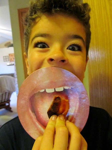[bacon-pic8.jpg]