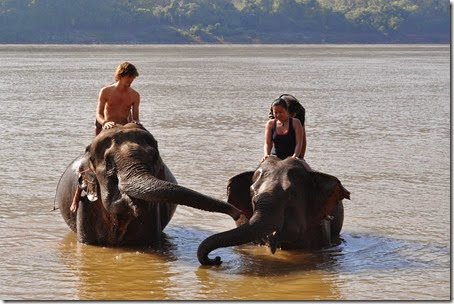 Laos Luang Prabang Elephant camp 140201_0155