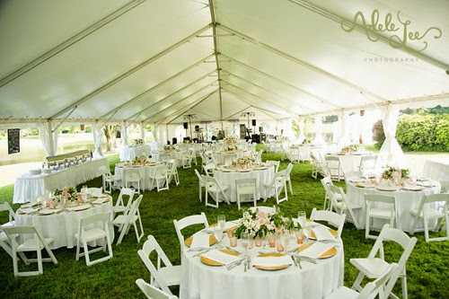 Weddings At Chetola Resort In Blowing Rock Nc Blog The Whole